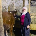 690x390cc-drsm-06-12-2023-ovacik-kadin-hayvancilik-gecim13