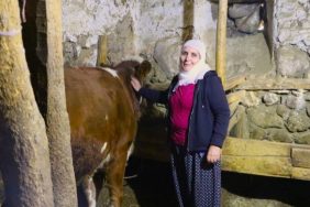 690x390cc-drsm-06-12-2023-ovacik-kadin-hayvancilik-gecim13