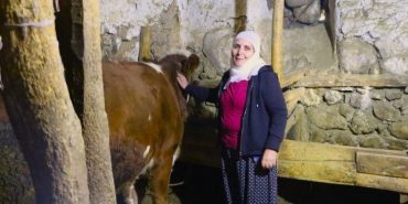 690x390cc-drsm-06-12-2023-ovacik-kadin-hayvancilik-gecim13