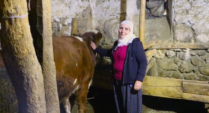 690x390cc-drsm-06-12-2023-ovacik-kadin-hayvancilik-gecim13