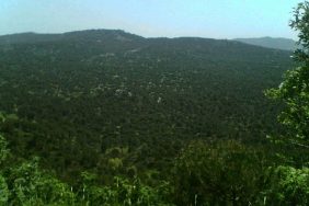 690x390cc-izm-21-12-2023-bergamada-maden-ocag-halka-sorulacak