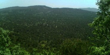 690x390cc-izm-21-12-2023-bergamada-maden-ocag-halka-sorulacak