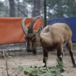 Ekran görüntüsü 2023-12-01 180344