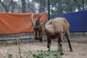 Ekran görüntüsü 2023-12-01 180344