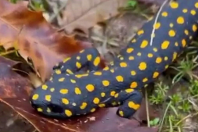 Ekran görüntüsü 2023-12-12 134940