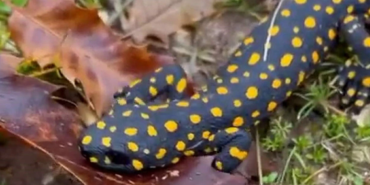 Ekran görüntüsü 2023-12-12 134940