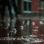 Ekran görüntüsü 2023-12-15 103849