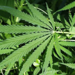 Ekran görüntüsü 2023-12-20 113620