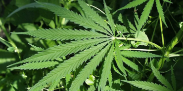 Ekran görüntüsü 2023-12-20 113620