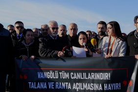 MVI_9722.00_01_13_05.Still004