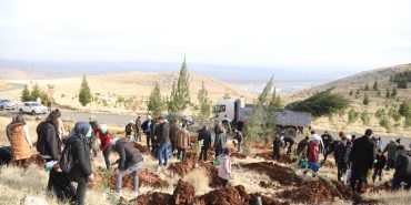 dtso-fidan-ekimi-manseeeet