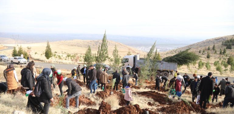 DTSO Ergani’de 10 bin ağaç dikti