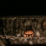 fot-andrew-skowron-anima-international-50478501452-o-e1703253683994