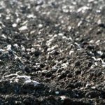 mikro-p-e1702906158893