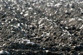 mikro-p-e1702906158893