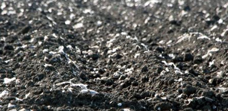 DEVA Partisi’nden Tarım Bakanı’na: Topraktaki mikroplastik kirliliğine ilişkin ne yapıyorsunuz?