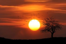 pexels-pixabay-36744-990x556