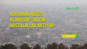 site