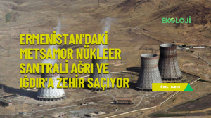 site