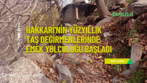 site