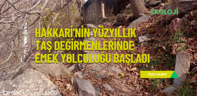 Hakkari’nin yüzyıllık taş değirmenlerinde emek yolculuğu başladı