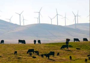 uruguayenergia