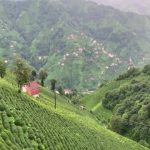 690x390cc-rize-29-12-2023-guneysu-bakir-madeni-ced-gerekli-degil-karari