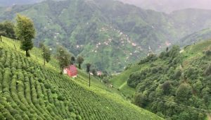 690x390cc-rize-29-12-2023-guneysu-bakir-madeni-ced-gerekli-degil-karari