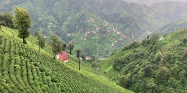 690x390cc-rize-29-12-2023-guneysu-bakir-madeni-ced-gerekli-degil-karari