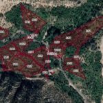 690x390cc-srnk-19-01-2024-silopiya-gund-hatine-istimlaqkirin3