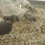 Ekran görüntüsü 2024-01-08 102918