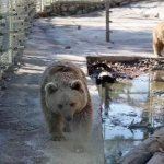 Ekran görüntüsü 2024-01-23 110207