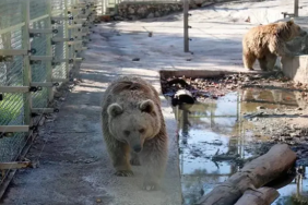 Ekran görüntüsü 2024-01-23 110207