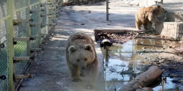 Ekran görüntüsü 2024-01-23 110207