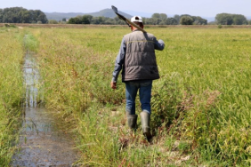 Ekran görüntüsü 2024-01-23 110614