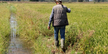 Ekran görüntüsü 2024-01-23 110614