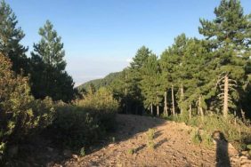 a3fb48da-6166-4ca0-9e63-739ce297a715