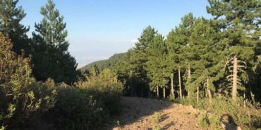 a3fb48da-6166-4ca0-9e63-739ce297a715