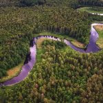 adam-smigielski-swa6eylcac0-unsplash-e1705329777556