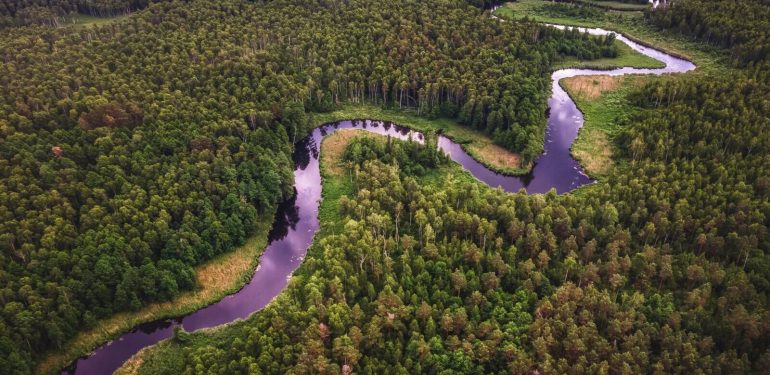 Amazon’da orman tahribatı 2023’te yarı yarıya azaldı