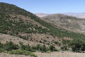 ekran-resmi-2024-01-17-181806-e1705504783679