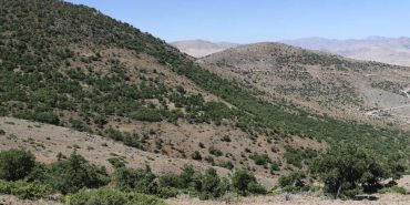 ekran-resmi-2024-01-17-181806-e1705504783679