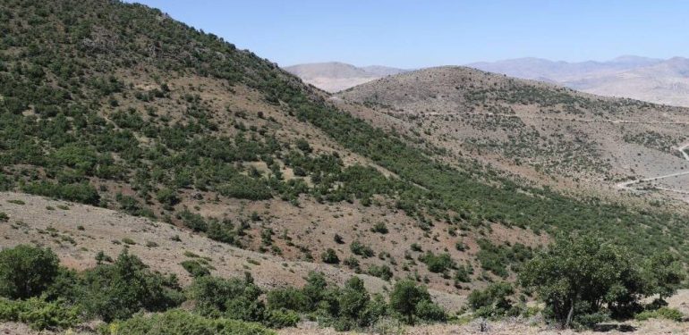 AYM’den İliç’teki altın madeni hakkında karar: Özel hayata saygı hakkı ihlal edildi