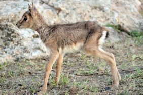 genhmhhw8aafw06-e1706167225105