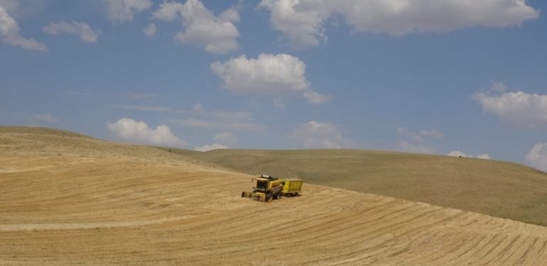 Kuraklık ve Yanlış Tarım Politikaları Muş Ovası’nın Belini Büküyor