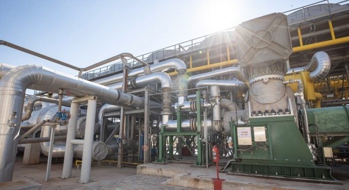 Aydın’da jeotermal kurulması için ağaçlar kesiliyor
