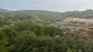 690x390cc-aydn-07-02-2024-orman-alanina-maden
