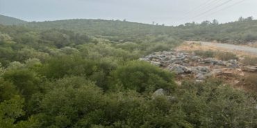 690x390cc-aydn-07-02-2024-orman-alanina-maden