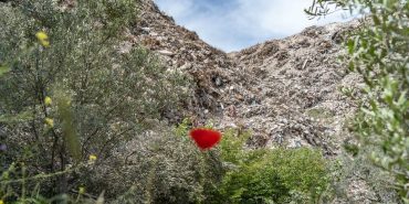 image-2023-04-24-182436-1-e1682669421643