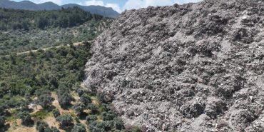 image-2024-02-05-111927-e1707121209734